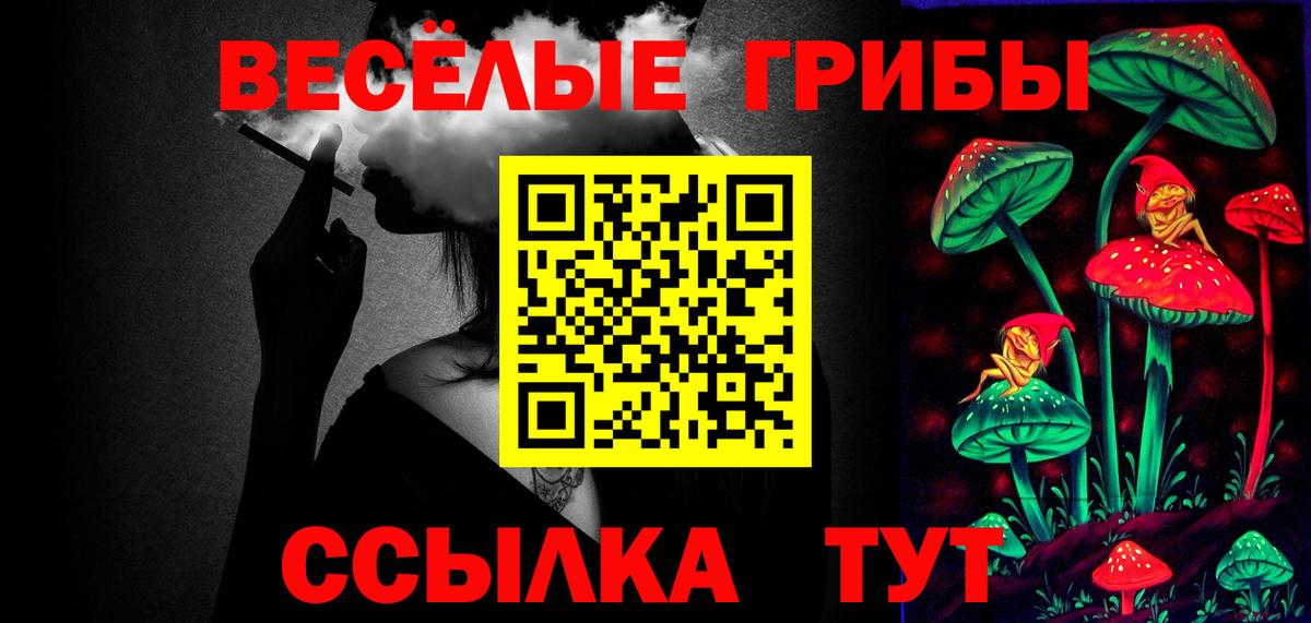 Псилоцибиновые грибы Psilocybe  Вход с VPN  Псилоцибиновые грибы Psilocybine cubensis  Северобайкальск 